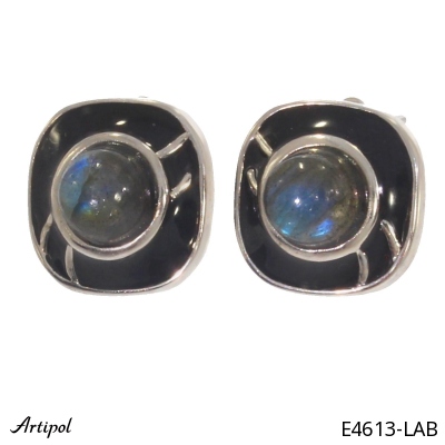 Earrings E4613-LAB with real Labradorite