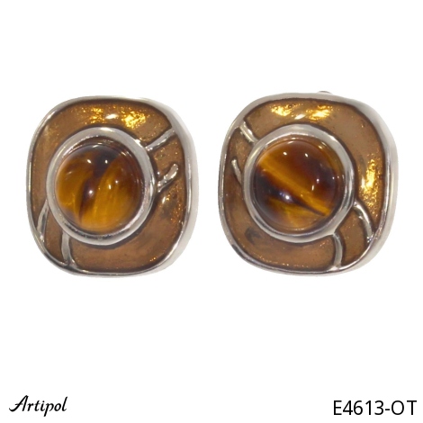 Ohrringe E4613-OT mit echter Tigerauge