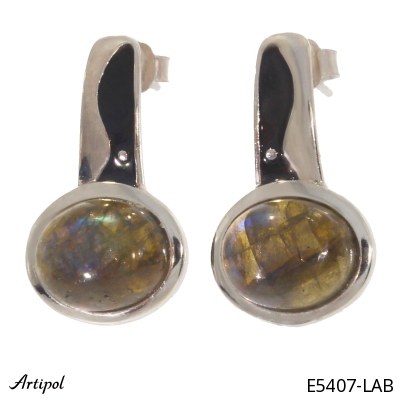 Kolczyki E5407-LAB z Labradorytem