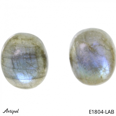 Earrings E1804-LAB with real Labradorite